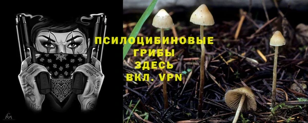 не бодяженный Володарск