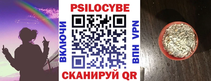 KRAKEN ССЫЛКА  площадка официальный сайт  Карасук  Галлюциногенные грибы Magic Shrooms  купить наркоту 